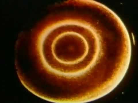 The Science of Cymatics Documentary