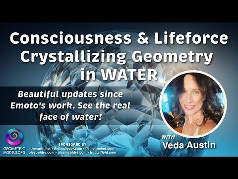 FractalU   Veda Austin - Consciousness & Lifeforce  Geometry in WATER & Dan Winter: Physics of Soul