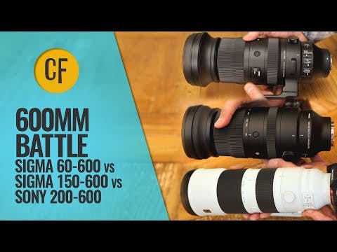 600mm Zoom Battle! Sigma 60-600 vs Sigma 150-600 vs Sony 200-600mm