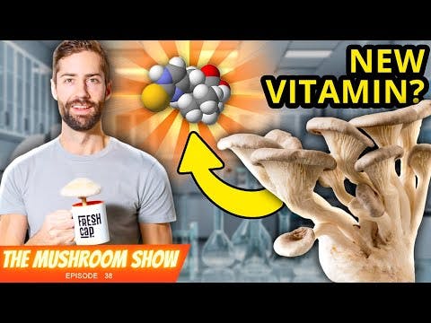 "The Most Important Nutrient You've Never Heard Of" Found In Mushrooms