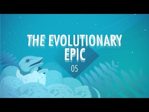 The Evolutionary Epic: Crash Course Big History #5