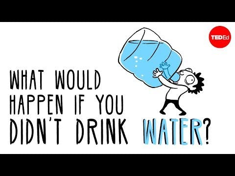 What would happen if you didn’t drink water? - Mia Nacamulli