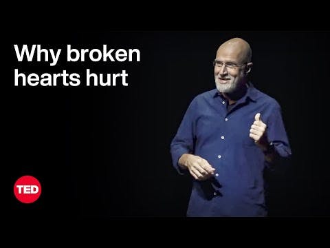 Why Broken Hearts Hurt — and What Heals Them | Yoram Yovell | TED