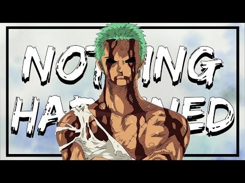 One Piece Analysis - Roronoa Zoro: Swordsmanship and Stoicism (Nothing Happened)