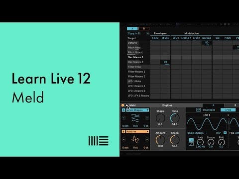 Learn Live 12: Meld