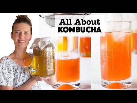 All About Kombucha - Complete Guide to growing a SCOBY, brewing Kombucha + second fermentation