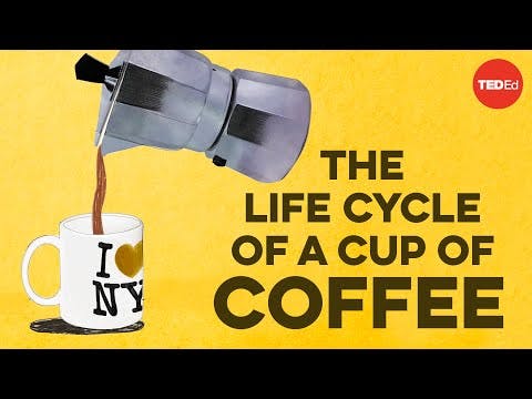 The life cycle of a cup of coffee - A.J. Jacobs