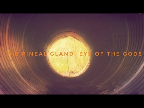 The Pineal Gland: Eye of the Gods- Manly P. Hall
