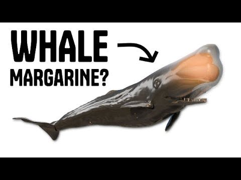 How Whales won the War against Capitalism