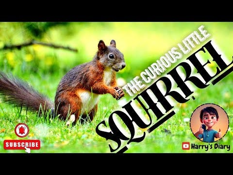 The curious little squirrel | Kids Moral & Bedtime Stories | 5-minute Video