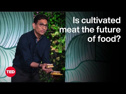 Is Cultivated Meat the Future of Food? | Uma Valeti | TED