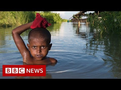 How climate change is making inequality worse - BBC News