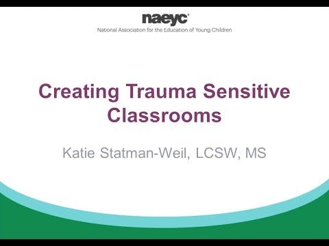 Webinar: Creating Trauma Sensitive Classrooms