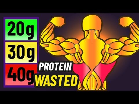 The Protein LIMIT For Each Meal (Avoid This Mistake?)